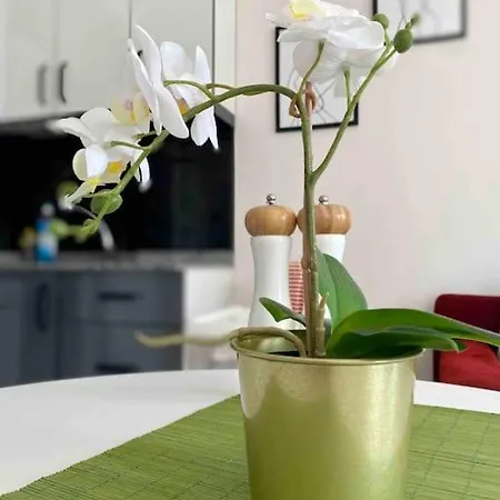 Apartment 6-kaleici Markantalya Shopping Center 5 Minutes